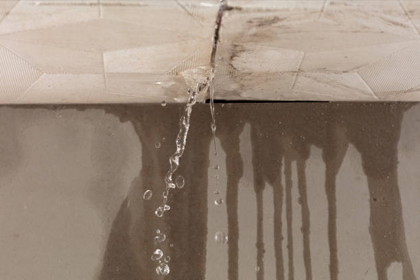Professional Water Damage Repair technician working in Cressona, PA